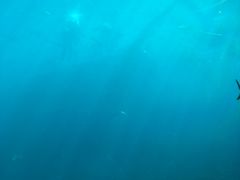 -瑞德姆美人鱼海底演艺主题餐厅(亚龙湾店)