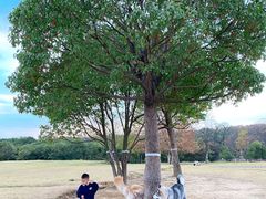-钟山体育运动公园