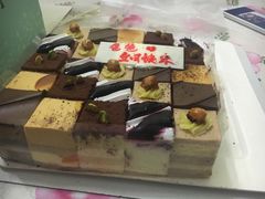-维尔纳斯·生日蛋糕动物奶油冰淇淋蛋糕(人大店)