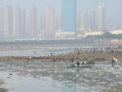 -栈桥景区