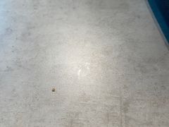 -咕噜咕噜·章鱼小丸子(西湖路店)
