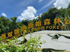 -西双版纳原始森林公园
