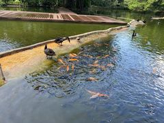 -海南热带野生动植物园