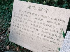 -昆山城市生态森林公园