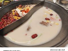 -朱光玉火锅馆(正弘城店)