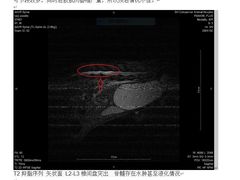-爱侣宠医·鹦鹉专科·小型哺乳类·异宠专科(灵石路店)