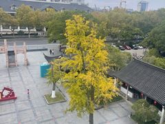 -东湖景区