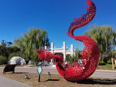 -武清南湖绿博园