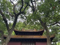 -普陀山风景名胜区-法雨禅寺
