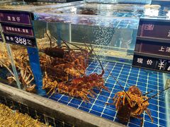 -百富源·海鲜辽菜(浑河堡店)