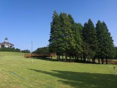 -棒棰岛宾馆景区