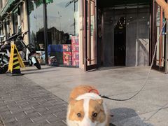 -清真伊源饺子馆(陶然共友大厦店)