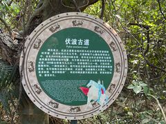 -海南铜鼓岭景区