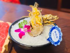 -东海怡品海鲜豆捞(舟宿夜江店)