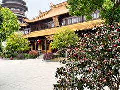-圆通寺
