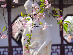 -莫愁湖公园