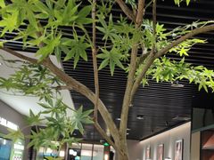 -客语客家菜(华发商都店)