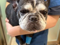 -爱派特动物医院·全科诊疗中心