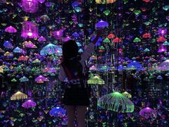 -迷斯伍德星空博物馆