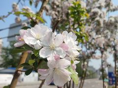 -小米烤肉·和牛原切-创意韩料(东关店)