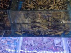 -海韵之星邮轮水会(明发商业广场店)