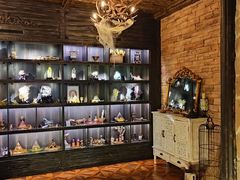-雪灵魔法世界SHELLY’S TAROT(大良桂畔里店)