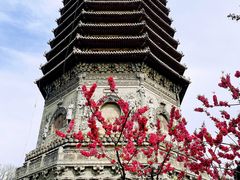 -玲珑塔公园