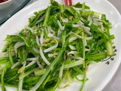 青龙菜-新峰肉骨茶