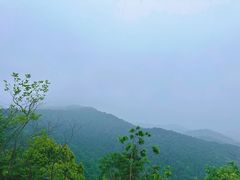 -灵隐飞来峰景区