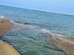 -日照海滨国家森林公园