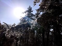 -东天目山风景区