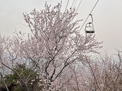-香山公园