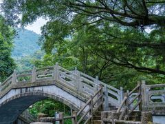 -广州市石门国家森林公园