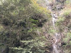 -石台牯牛降景区
