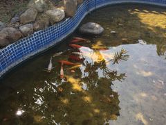 -广东花都香草世界旅游度假区