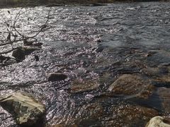 -淇河国家湿地公园