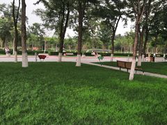 -廊坊文化艺术中心