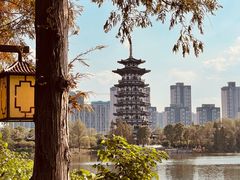 -洋湖国家湿地公园