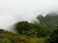 -王顺山国家森林公园