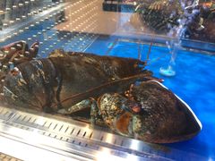 -盒马X会员店(王府井奥莱UP TOWN店)