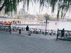 -朝阳公园游乐园