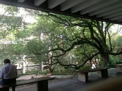 -香港大学
