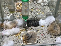 -三旗百汇商品城