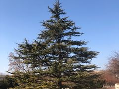 -北京国家会计学院