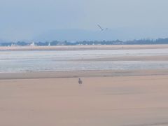 -刘家湾赶海园