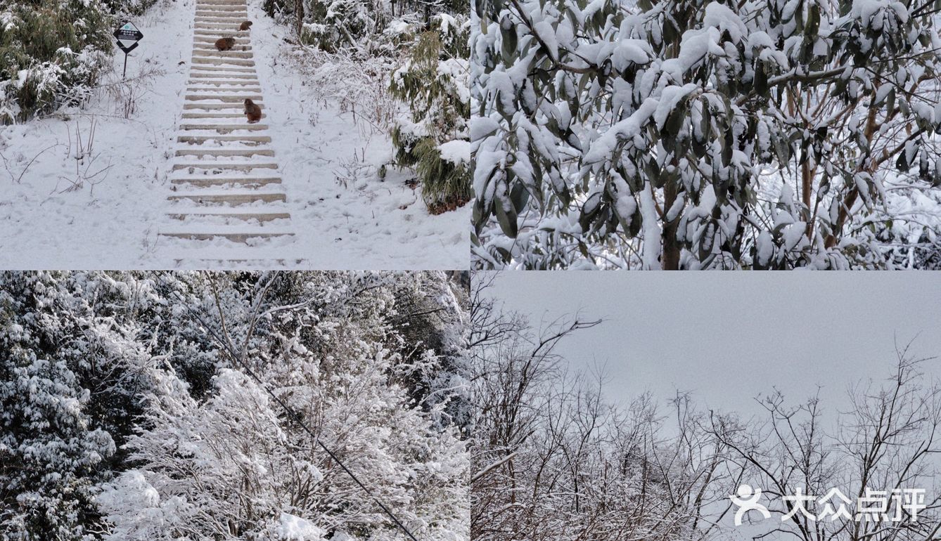 成都周边游｜三小时到达超美雪山🏔️
