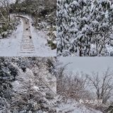 成都周边游｜三小时到达超美雪山🏔️
