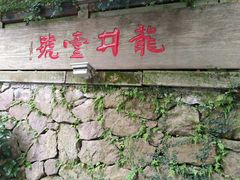 -龙井壹号·茶缘山景宴(龙井村店)