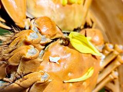 -成隆行·蟹王府(九江路店)