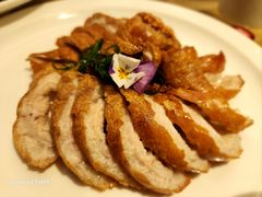 -乔家栅(襄阳南路店)